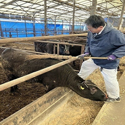【ふるさと納税】【毎月定期便】【小町の里・幸牛】黒毛和牛すき焼き肉 450g×2　計900g全3回【配送不可地域：離島】【4090813】 f075221-ono-10000117 福島県小野町 サンプル画像2