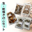 【ふるさと納税】【遠藤きのこ園】乾燥きのこ詰め合わせセット(しいたけ・きくらげ・まいたけ)