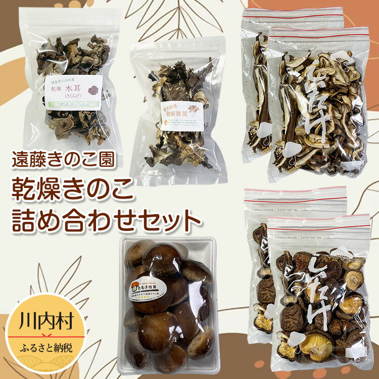 【ふるさと納税】【遠藤きのこ園】生きのこ・乾燥きのこ詰め合わせセット（しいたけ・きくらげ・まいたけ）のサムネイル