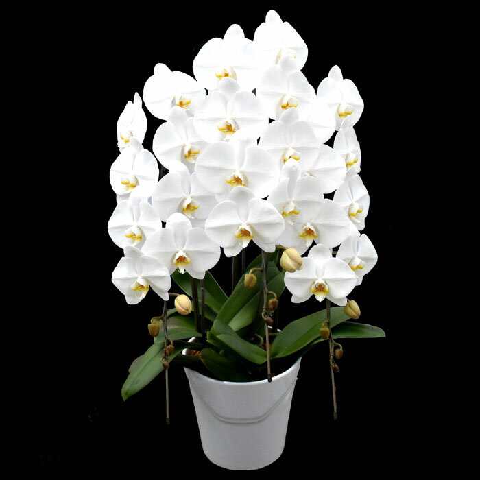 福島県葛尾村の画像3