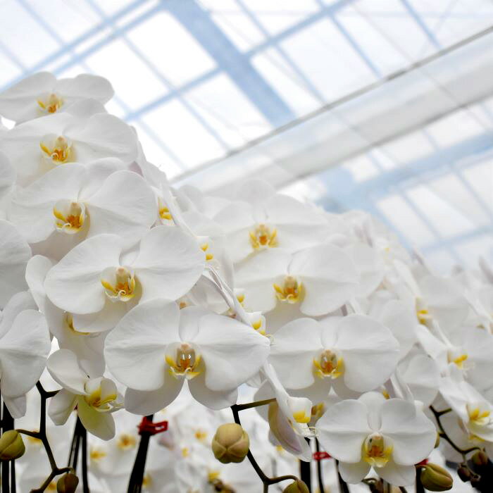 福島県葛尾村の画像2