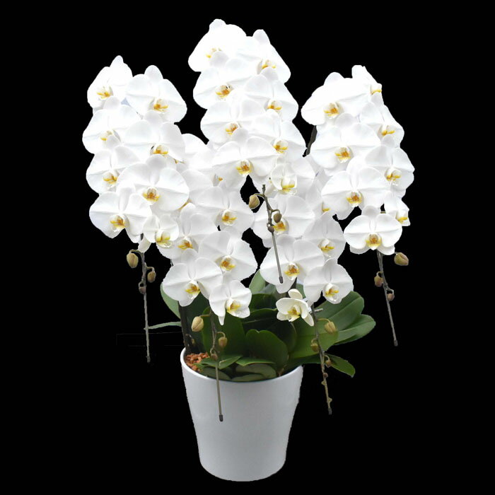 福島県葛尾村の画像3