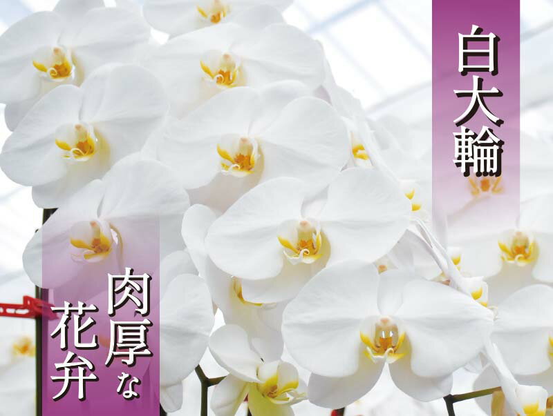 福島県葛尾村の画像3