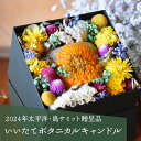 【ふるさと納税】【2024年太平洋・島サミット贈呈品】いいたてボタニカルキャンドル ITTAC001 | キャンドル プレゼント ギフト ろうそく 可愛い かわ...