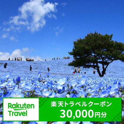 茨城県内の対象施設で使える楽天トラベルクーポン  （クーポン30,000円）【旅行 トラベル 旅行券 宿泊券 予約 チケット ホテル 観光 楽天限定】