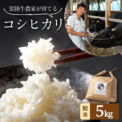 【ふるさと納税】令和7年産 茨城県産 常陸牛農家が育てた コシヒカリ 精米 5kg【配送不可地域:離島・沖縄県】【1354560】