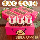 【ふるさと納税】まるでほしいも計12個 (ほしいもクン特製化粧箱入り3個×4箱)【配送不可地域:離島・沖縄県】【1446282】