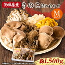 【ふるさと納税】きのこの詰め合わせ M(約1500g)【配送不可地域:離島・沖縄県】【1449115】