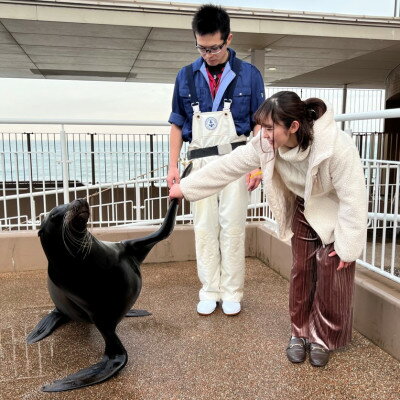 アクアワールド茨城県大洗水族館 飼育員体験ツアー[配送不可地域:離島・沖縄県]