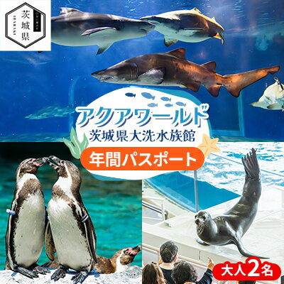 【ふるさと納税】アクアワールド茨城県大洗水族館 年間パスポート(大人2名分)【配送不可地域:離島・沖縄県】【1510278】