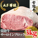【ふるさと納税】常陸牛 A5等級 サーロインブロック 約3kg【配送不可地域:離島・沖縄県】【1518922】