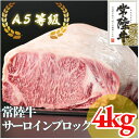 【ふるさと納税】常陸牛 A5等級 サーロインブロック 約4kg【配送不可地域:離島・沖縄県】【1518930】
