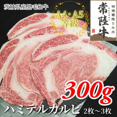 【ふるさと納税】【常陸牛】ハミデルカルビ 300g(2~3枚)【配送不可地域:離島・沖縄県】【1560446】
