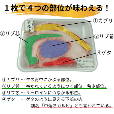 【ふるさと納税】【常陸牛】ハミデルカルビ500g(3～5枚) _ 常陸牛 牛肉 カルビ 人気 美味しい 【配送不可地域：離島・沖縄県】【1560454】 f080004-ibaraki-10000448 茨城県 サンプル画像2