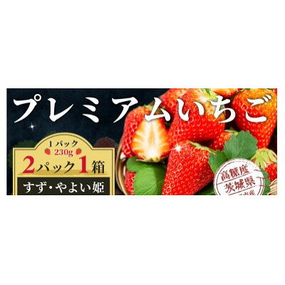 栽培期間中農薬を使用しないイチゴ すず・やよい姫(各230g×1パック 合計2パック)【配送不可地域：離島・沖縄県】【1581350】