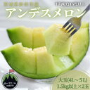 【ふるさと納税】【先行予約】令和8年4月順次発送 茨城県鉾田市 山一ファーム アンデスメロン 大玉 4L~5L・2玉【配送不可地域:離島・沖縄県】【1590729】(4)