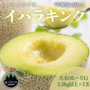 【ふるさと納税】【先行予約】令和8年5月順次発送 茨城県オリジナル品種!! イバラキング 4L〜5L・1玉 数量限定【配送不可地域:離島・沖縄県】【159073...
