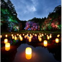 【ふるさと納税】「チームラボ 幽谷隠田跡」鑑賞券【大人(高校生以上)1名分】【配送不可地域:離島・沖縄県】【1591343】