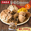 【ふるさと納税】茨城県城里町産 きのこの詰め合わせ Sサイズ 約1kg【配送不可地域:離島・沖縄県】【1593968】