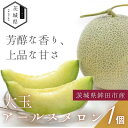 【ふるさと納税】茨城県産アールスメロン 2.0kg以上×1玉 【配送不可地域:離島・沖縄県】【1644495】