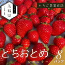 【ふるさと納税】【2026年1月より順次発送予定】風早いちご園 とちおとめ レギュラー 250g×8パック【配送不可地域:離島・北海道・沖縄県】【1647794】
