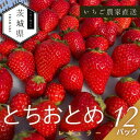 【ふるさと納税】【2026年1月より順次発送予定】風早いちご園 とちおとめ レギュラー 250g×12パック【配送不可地域:離島・北海道・沖縄県】【1647795】
