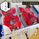 【ふるさと納税】【2026年1月順次発送】風早いちご園 とちおとめ 特選デラックス 4パック【配送不可地域:離島・北海道・沖縄県】【1647798】