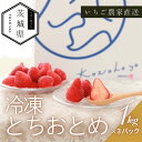 【ふるさと納税】風早いちご園 とちおとめ 冷凍いちご3kg(1kg×3パック) 真空冷凍 長期保存【配送不可地域:離島・沖縄県】【1647802】