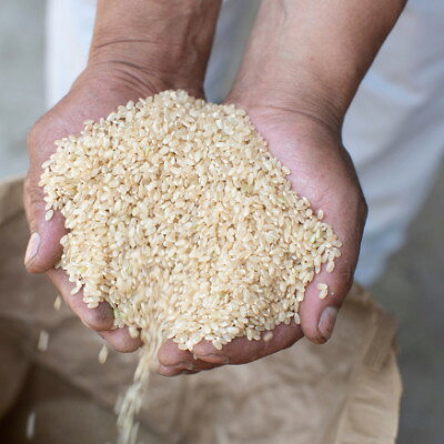 【ふるさと納税】令和7年産 茨城県産 常陸牛農家が育てる コシヒカリ 精米 10kg【...