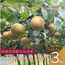 【ふるさと納税】【先行予約】2026年9月順次発送 桧山果樹園 茨城県 ブランド梨 恵水3kg【配送不可地域:離島・沖縄県】【1668041】