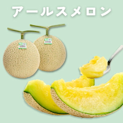 糖度13度以上!茨城県産 アールスメロン 2玉入り[先行予約 2026年9月上旬以降順次発送][配送不可地域:離島・北海道・沖縄県・中国・四国・九州]