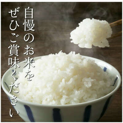 【ふるさと納税】令和7年産　奥久慈大子町産コシヒカリ　精米　計10kg【配送不可地...