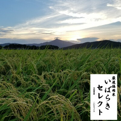 茨城県産こしひかりミックス 白米5kg 令和7年産[配送不可地域:離島・沖縄県]