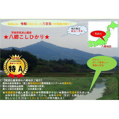 【ふるさと納税】【玄米10kg⇒七分搗き米】筑波山麓厳選★検査1等米こしひかり【恋瀬...