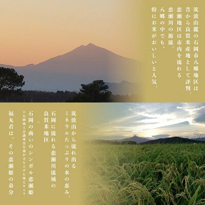 【ふるさと納税】食味ランク【特A】茨城県オリジナル★筑波山麓厳選米★【福丸】白米...