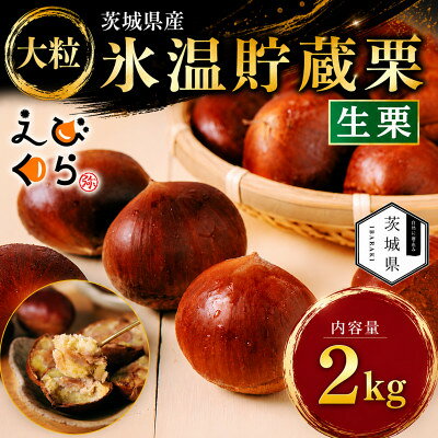 生産者直送 茨城県産 海老澤農園の氷温熟成栗2kg 生栗 大玉 薬剤不使用[配送不可地域:離島・沖縄県]