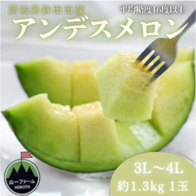 【ふるさと納税】【先行予約】令和9年4月より順次発送 茨城県鉾田市 山一ファーム アンデスメロン 3L～4L・1玉【配送不可地域：離島・沖縄県】【1759307】