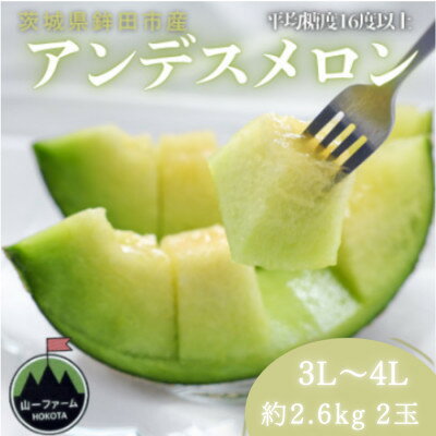 【ふるさと納税】【先行予約】令和9年4月より順次発送 茨城県鉾田市 山一ファーム アンデスメロン 3L～4L・2玉【配送不可地域：離島・沖縄県】【1759309】