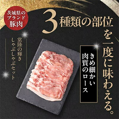 【ふるさと納税】【毎月定期便】茨城銘柄豚肉 常陸の輝き しゃぶしゃぶセット(ローズ・肩ロース・バラ)1.2kg全6回【配送不可地域：離島・沖縄県】【4087637】 f080004-ibaraki-10000969 茨城県 サンプル画像3