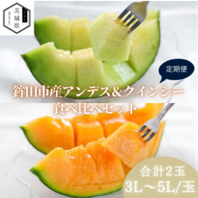 [発送月固定定期便]4月より発送予定 山一ファーム メロン食べ比べ(アンデスとクインシー)全2回[配送不可地域:離島・沖縄県]
