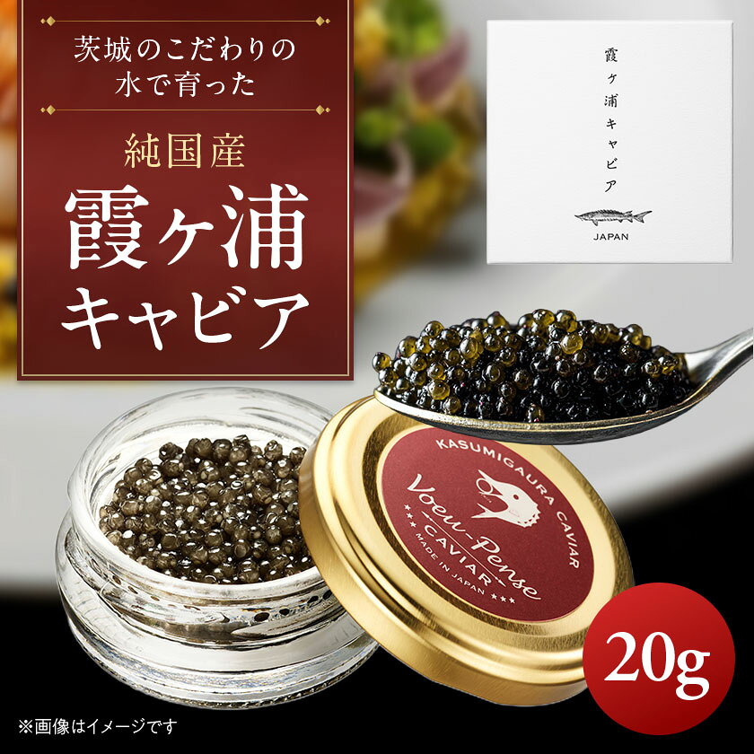 【ふるさと納税】霞ヶ浦キャビア 20g【配送不可地域：離島・沖縄県】【1619563】