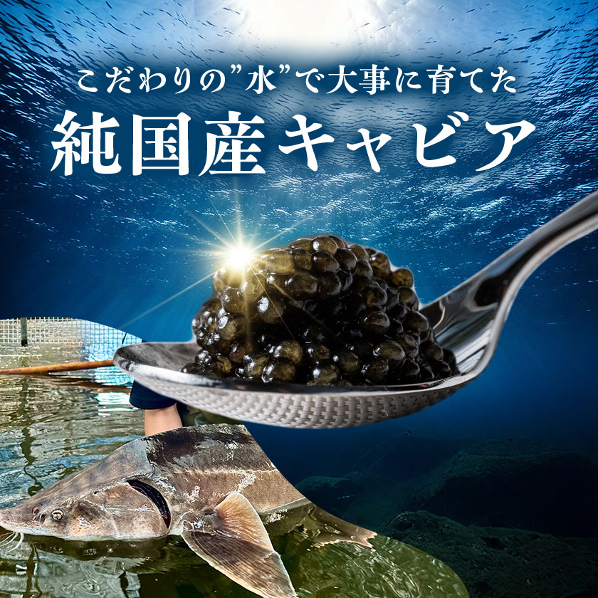 【ふるさと納税】霞ヶ浦キャビア 20g【配送不可地域：離島・沖縄県】【1619563】