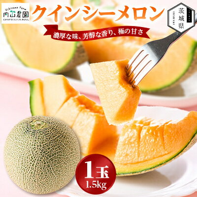 Queen & Healthy哈密瓜 - 【ふるさと納税】【内山農園】いばらきメロンコンテスト2025クインシーメロン(1玉1.5k)2026年5月～発送開始【配送不可地域：離島・沖縄県】【1635776】