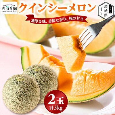 Queen & Healthy哈密瓜 - 【ふるさと納税】【内山農園】いばらきメロンコンテスト2025クインシーメロン(2玉3kg)2026年5月より発送開始【配送不可地域：離島・沖縄県】【1645300】