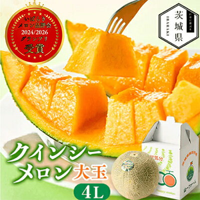 【ふるさと納税】【先行予約】令和9年5月順次発送 茨城県産 山一ファーム クインシーメロン 大玉4L～5L・1～2玉_ メロン フルーツ 果物 くだもの クインシーメロン 大玉 人気 おすすめ 送料無料 【配送不可地域：離島・沖縄県】【G1590730】