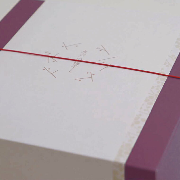 【ふるさと納税】【数量限定】水戸の梅おススメ4種類セット【梅干 梅干し うめぼし 水戸乃梅 ふくゆい 水戸偕楽園 紫錦梅 ねもとの梅干 ねもとのしそ漬梅】（CU-2）