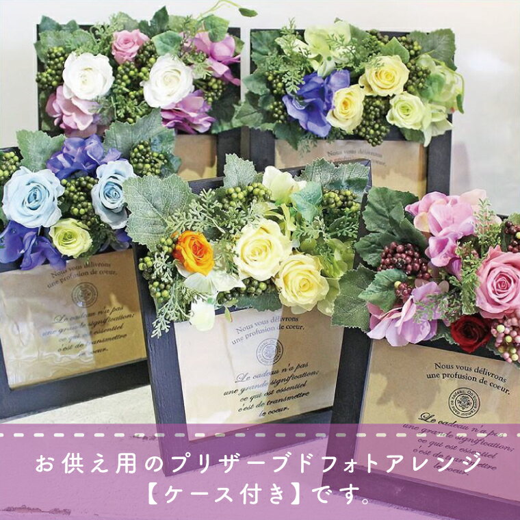茨城県水戸市の画像3
