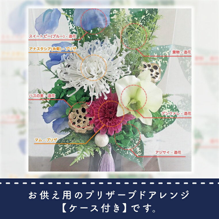 茨城県水戸市の画像2