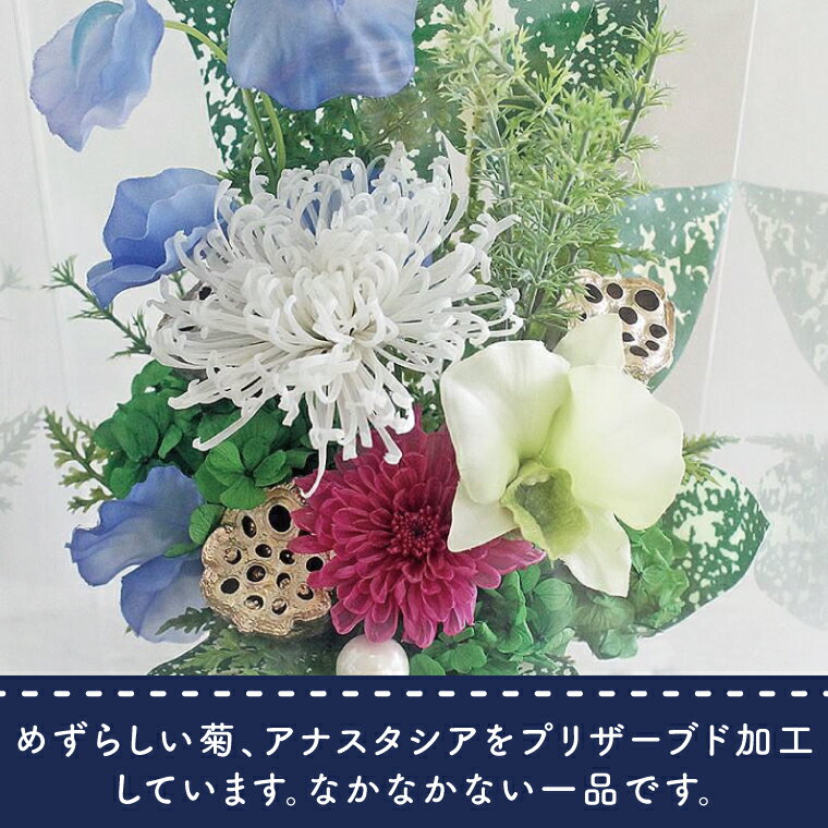 茨城県水戸市の画像3