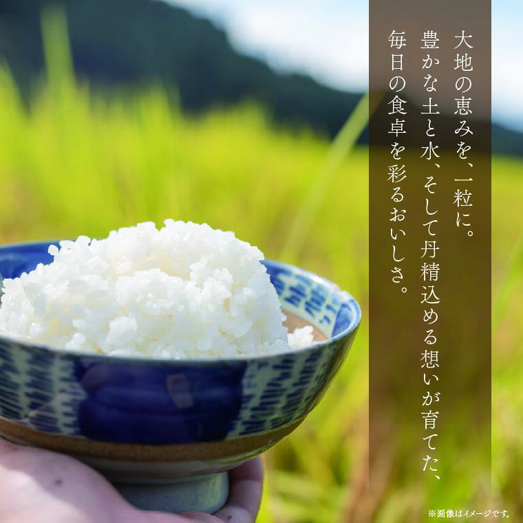【ふるさと納税】【11月上旬より順次発送】令和8年産 新米 茨城県水戸市常澄産コシヒカリ みと米 こしひかり お米 米 小分け 少量パック 3合 三合 真空パック 水戸市 茨城県（EX-6） f082015-mito-10002476 茨城県水戸市 サンプル画像3